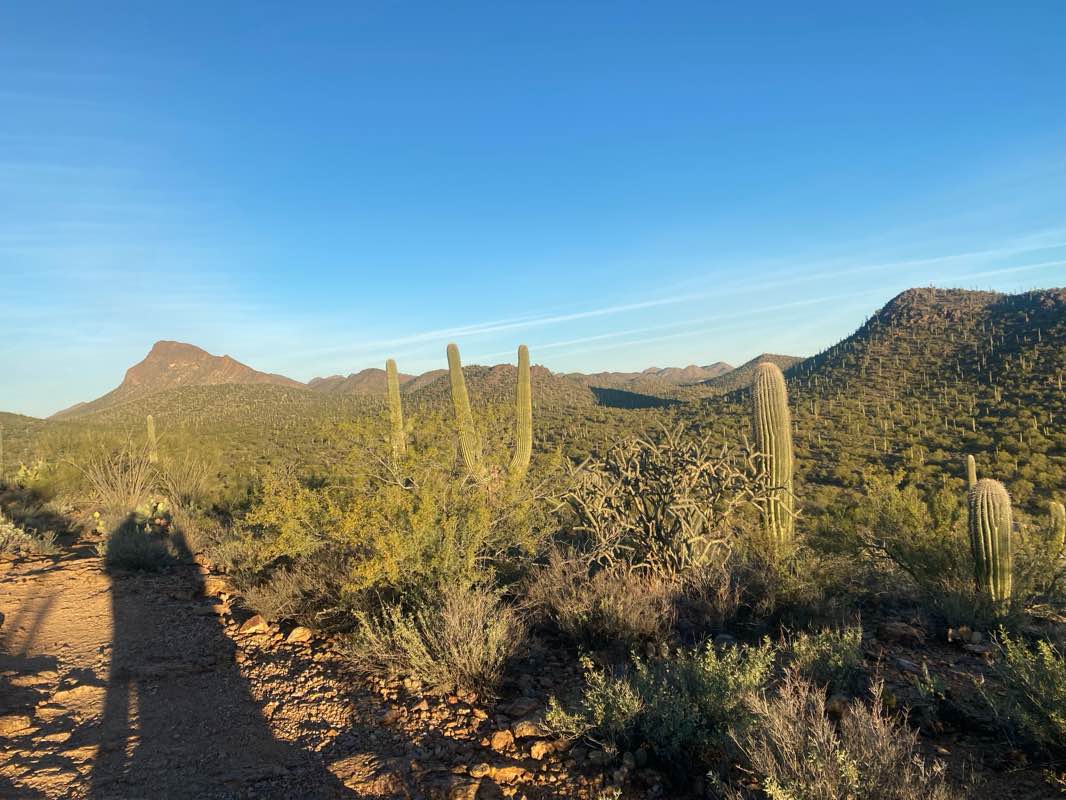 walking near me in Winston Reynolds Manzanita District Park in winter