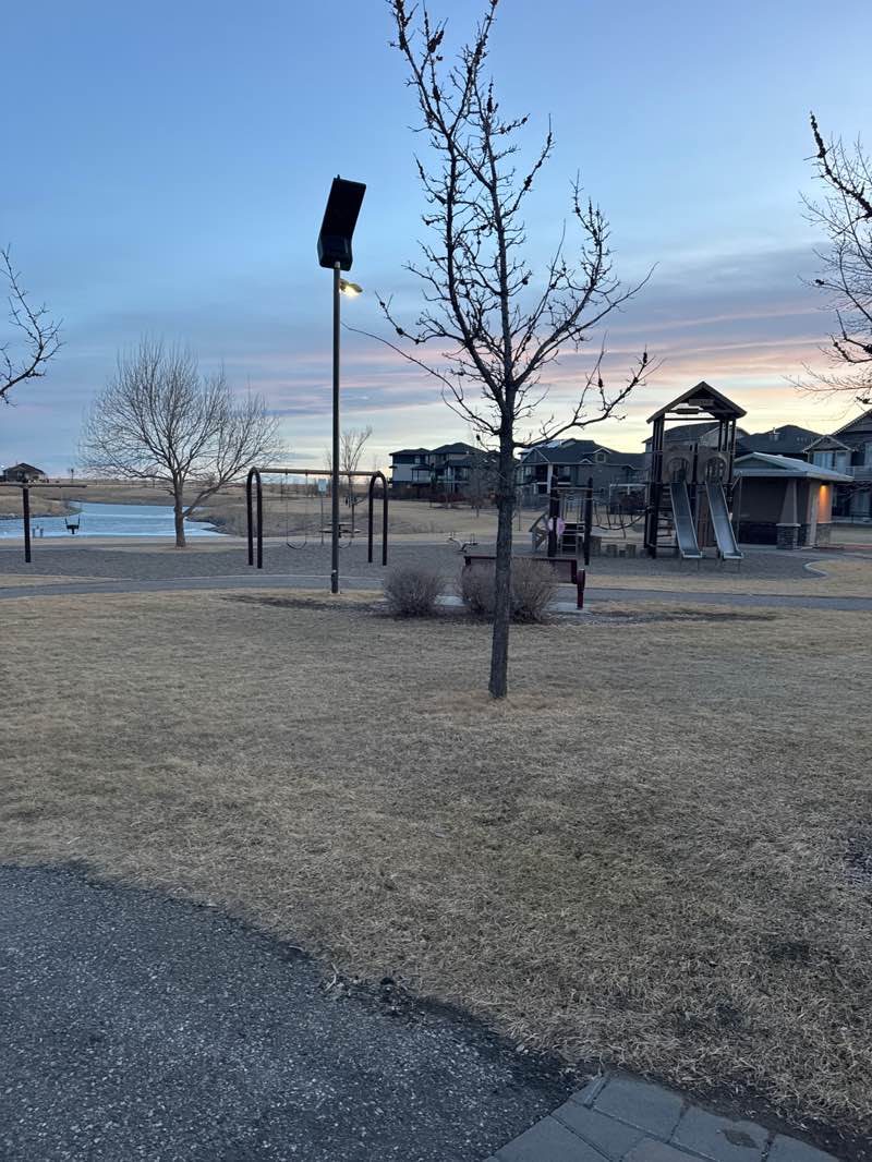 walking near me in Canyon Park in spring