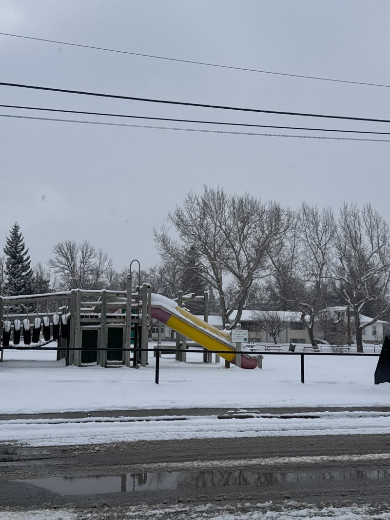 walking near me in Central Park in spring