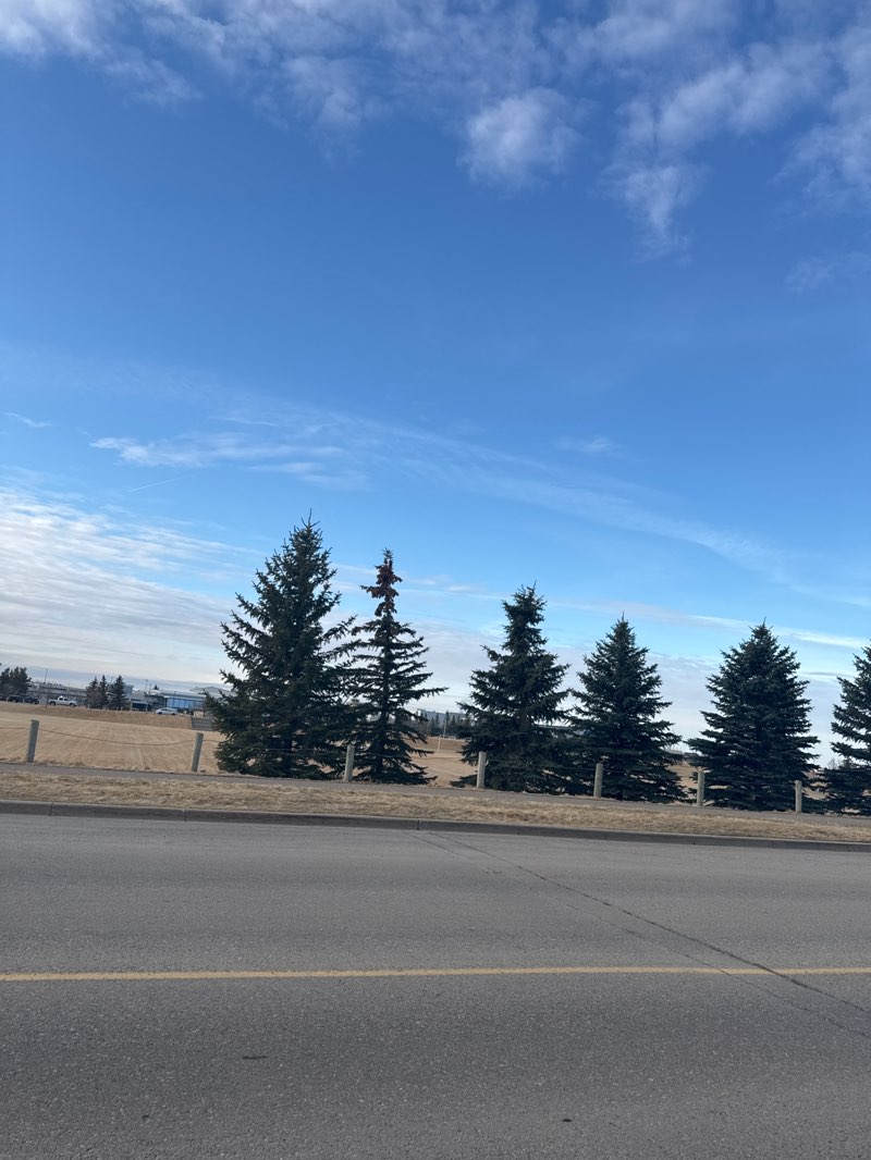 walking near me in The Crossings Park in spring