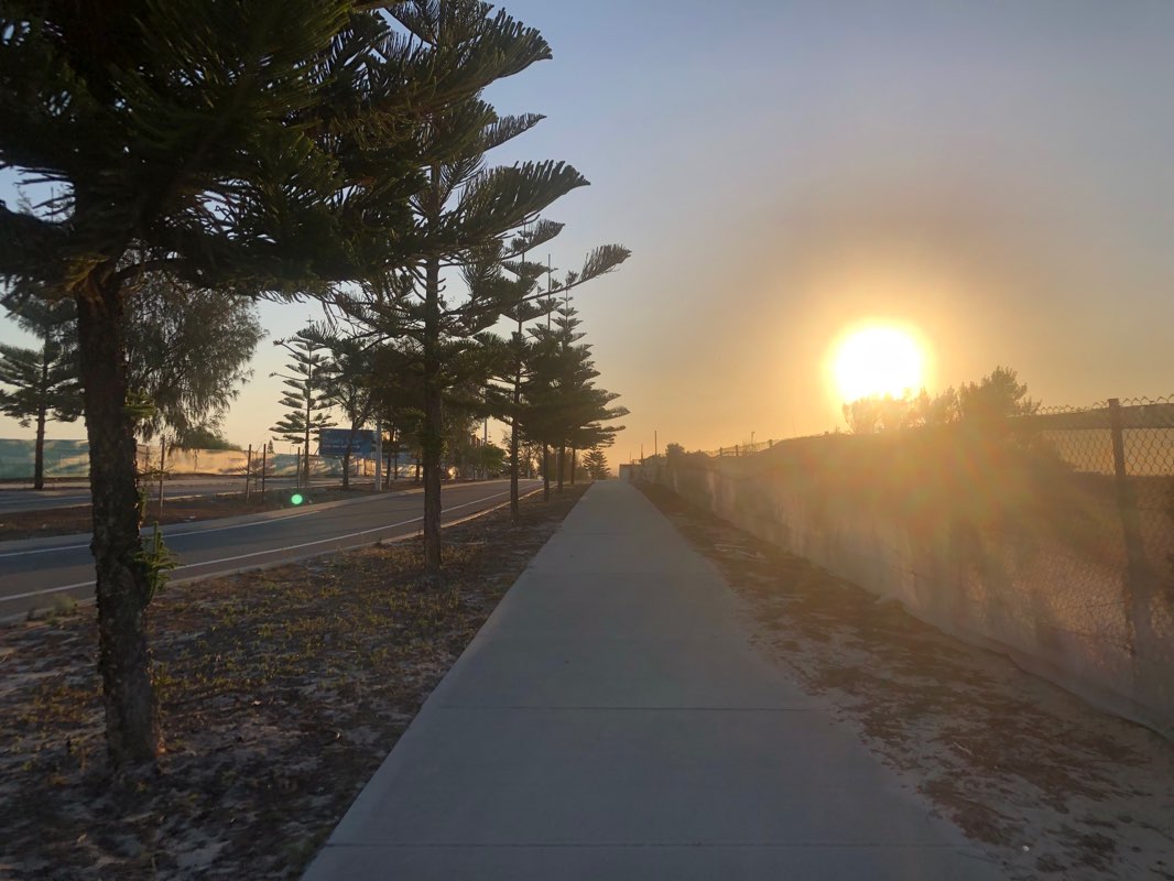 walking near me in Forestay Park in summer