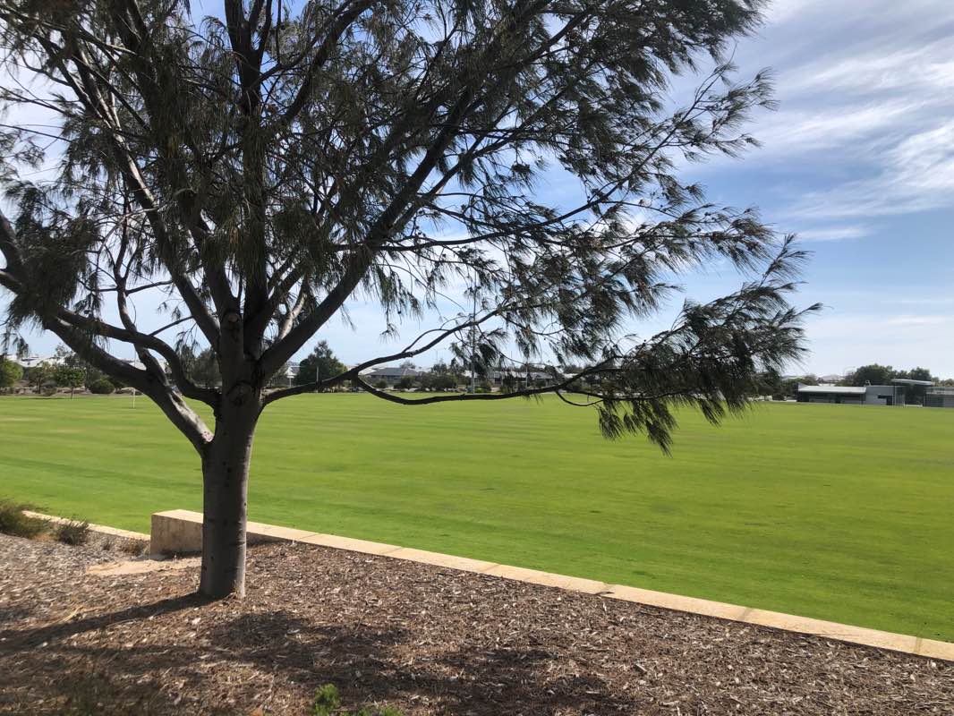 walking near me in Heath Park in summer