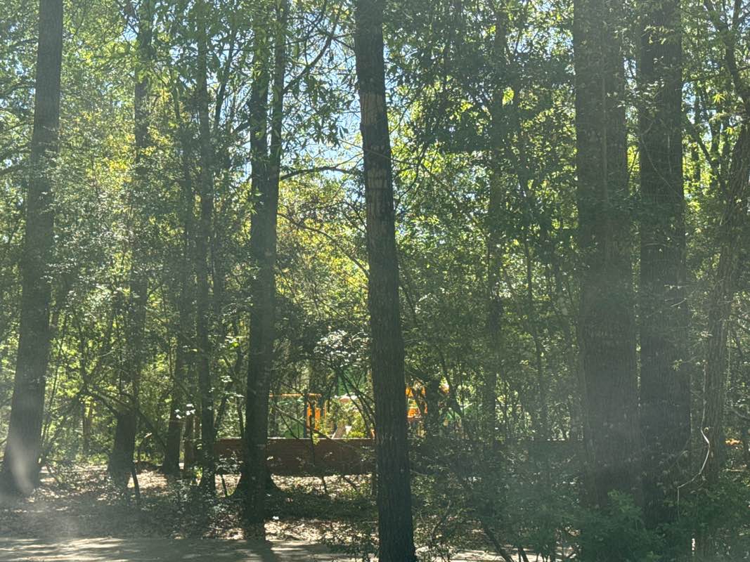 walking near me in Harper's Landing Park in spring