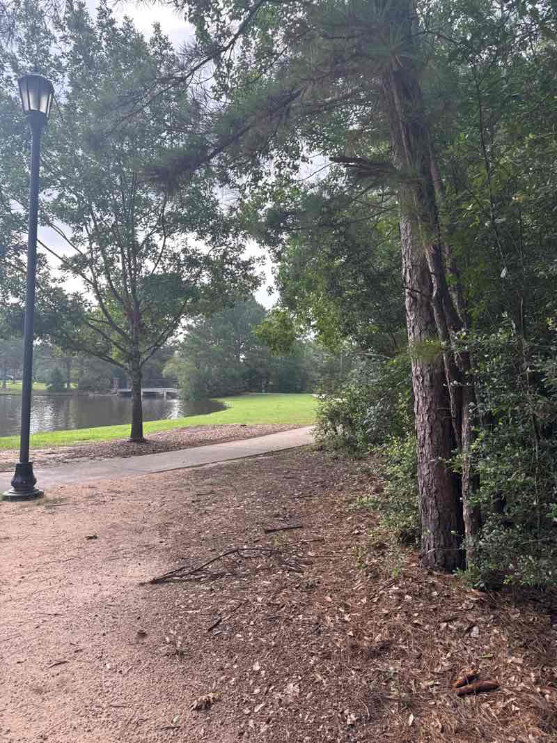walking near me in Tupelo Park in summer
