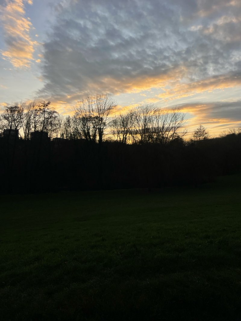 walking near me in Parc départemental du Morbras in winter
