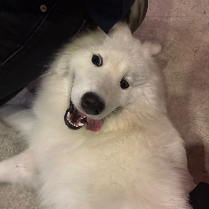 20234063-Napatson profile