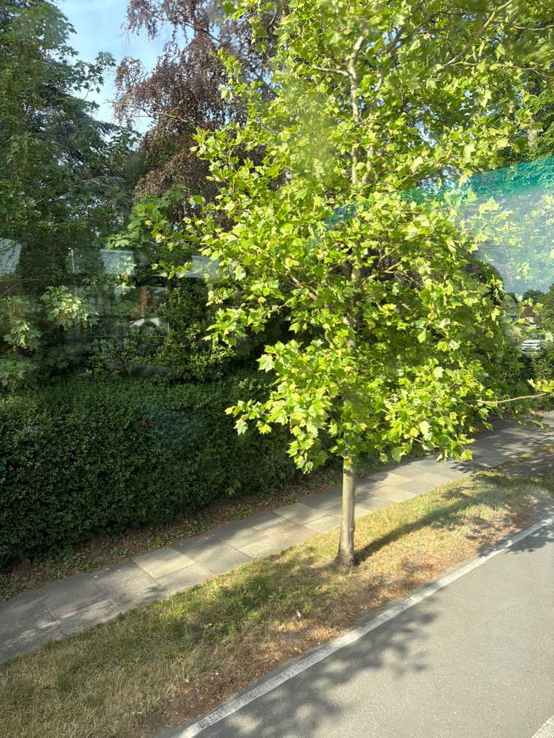 walking near me in Jersey Gardens in summer