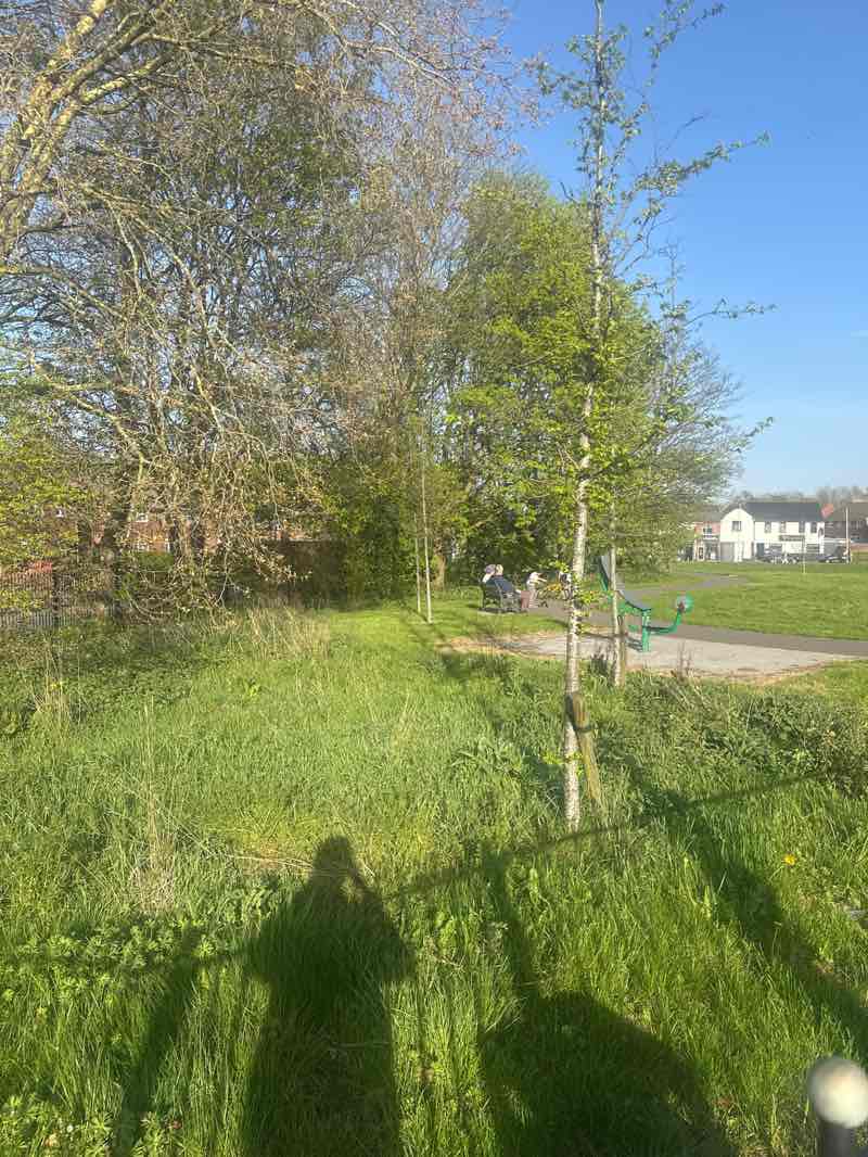 walking near me in Ward Street Park in spring