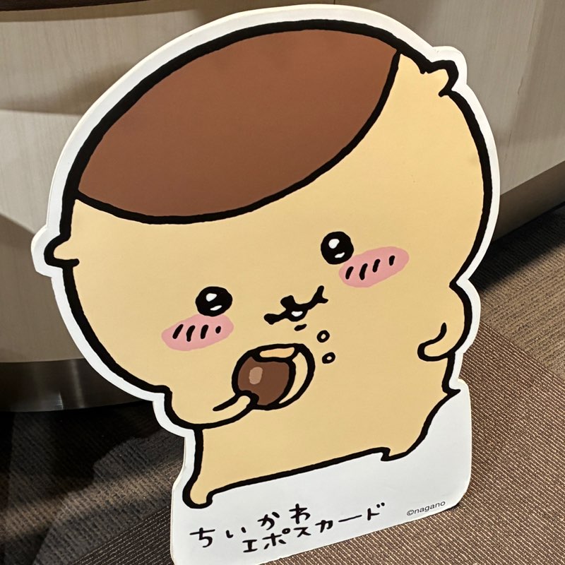 井手達也_広島 profile