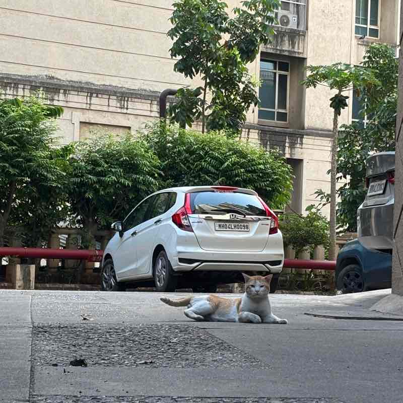 Adityakumar post 1