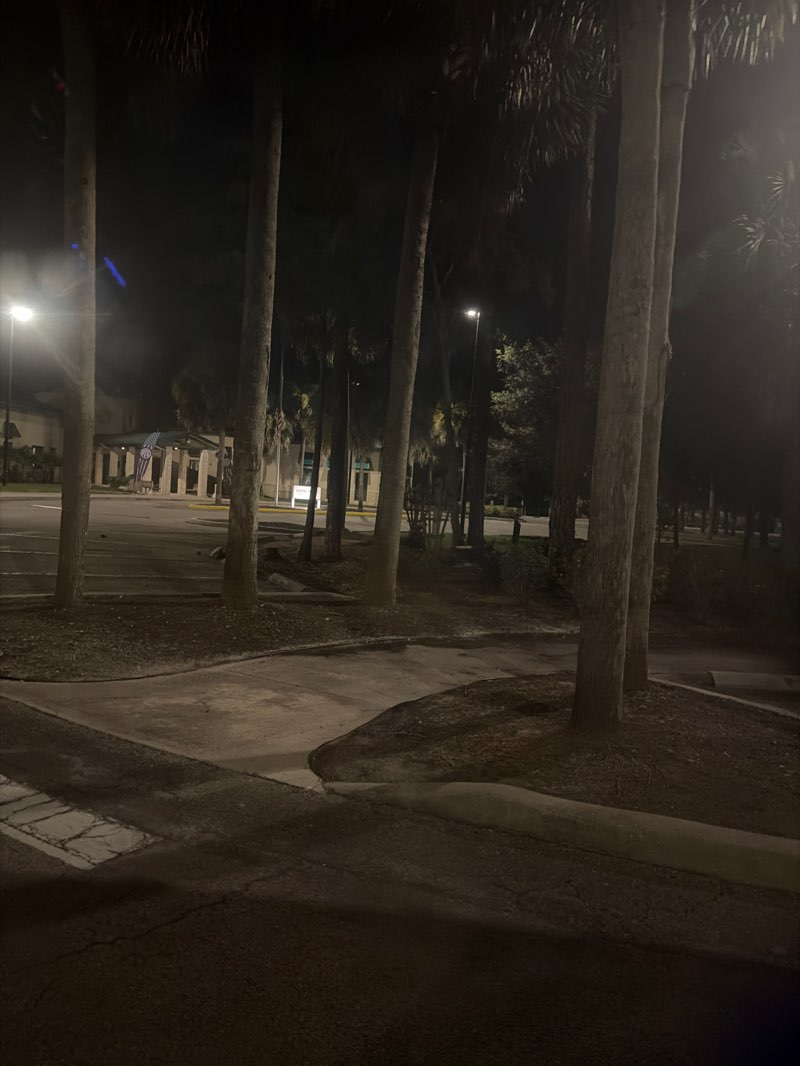 walking near me in Max Hasse Community Park in summer