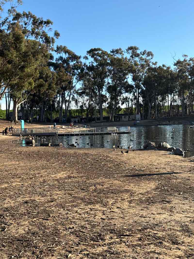 walking near me in Chollas Park in winter