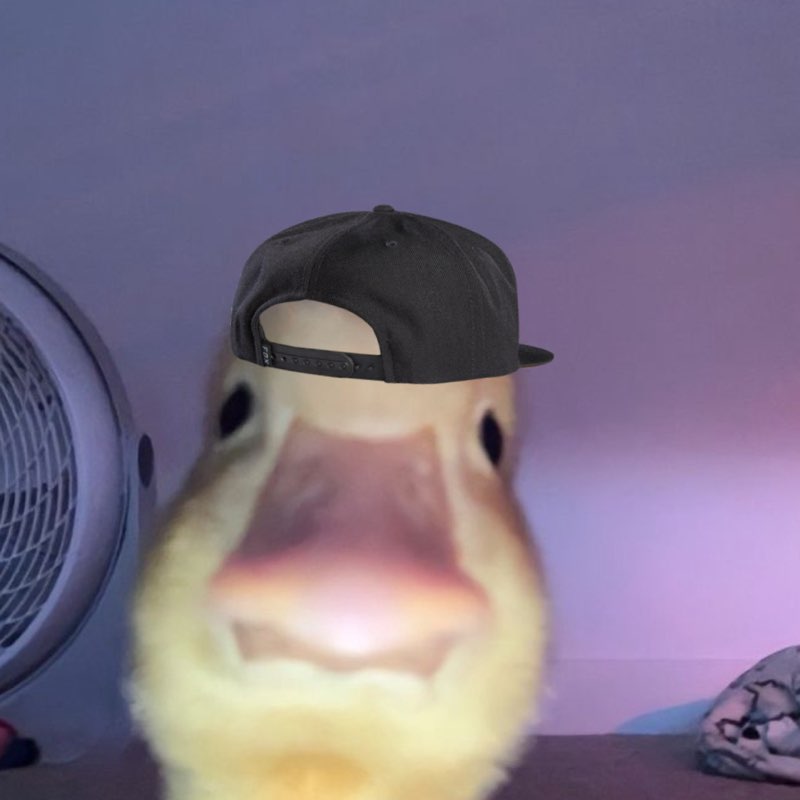 ethantheboss profile