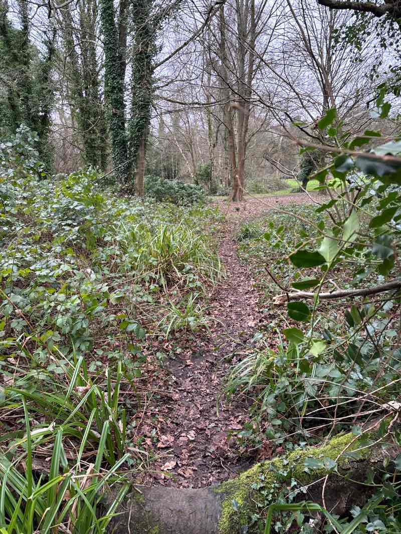 walking near me in South Ascot Playing Field in winter