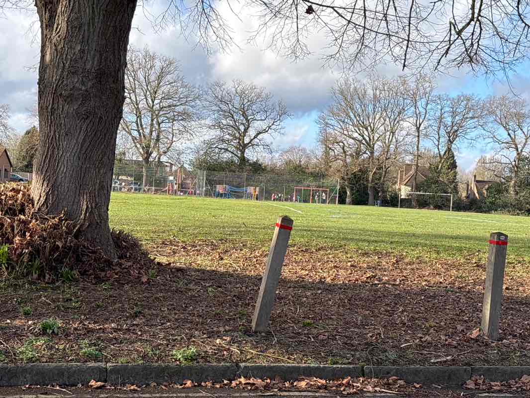 walking near me in Wheatsheaf Common in winter