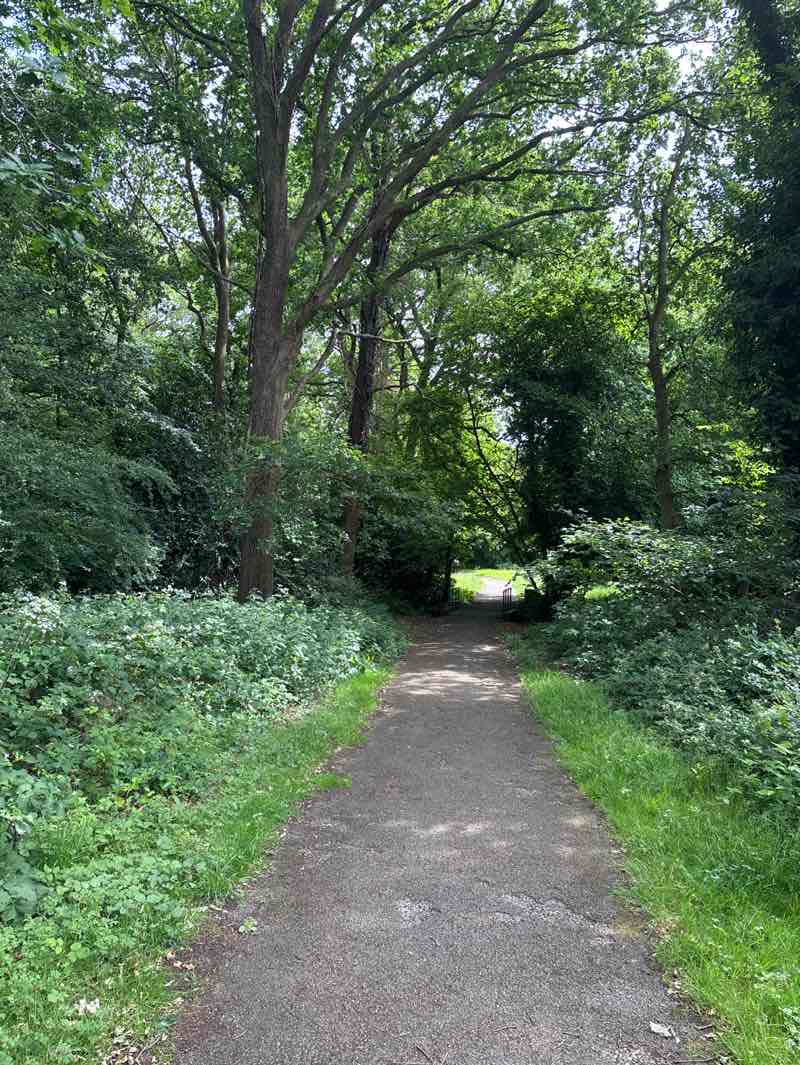 walking near me in Bog Lane Hidden Play Park in summer