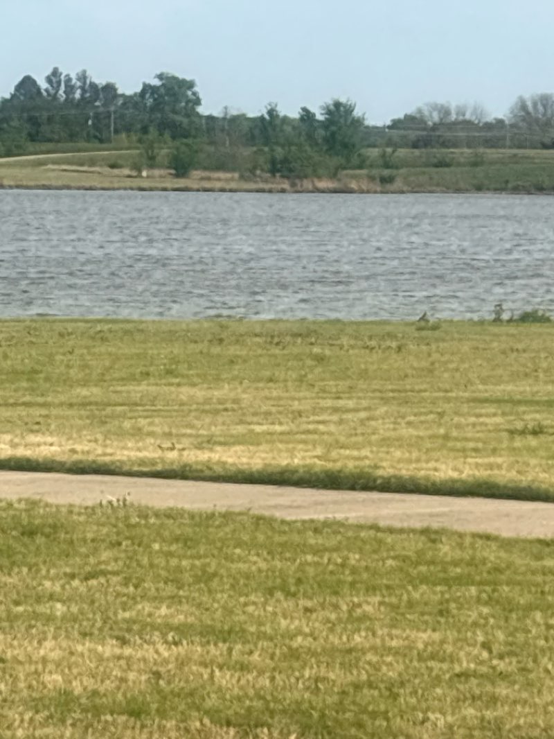 walking near me in Heartland Park in spring
