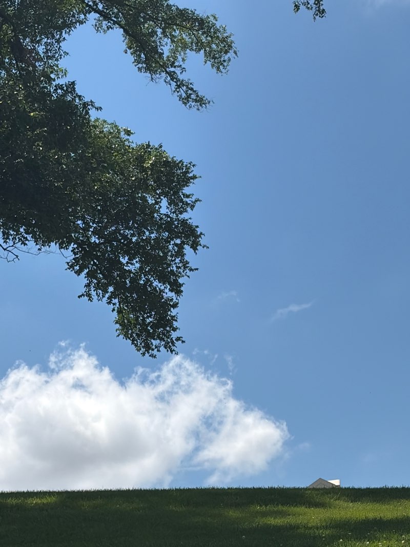 walking near me in Liberty Memorial in summer