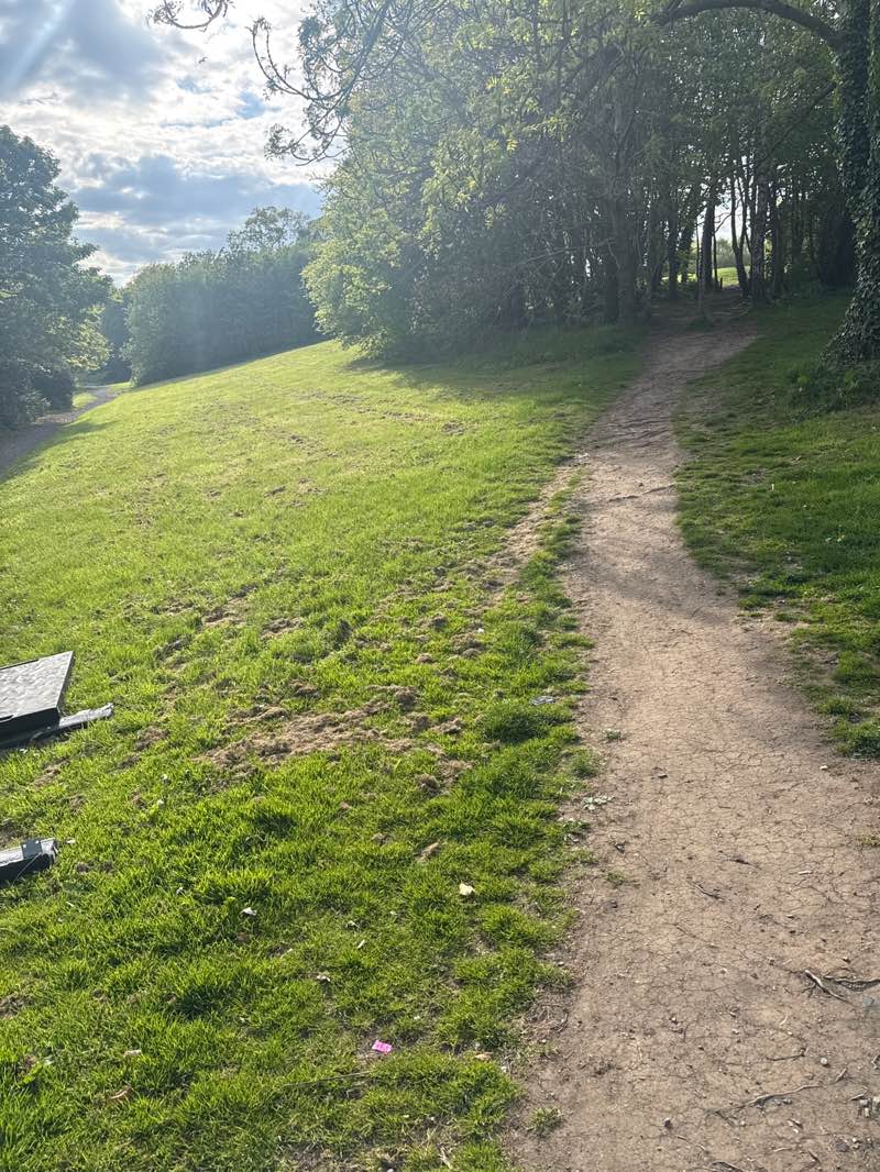 walking near me in Castle Park in spring