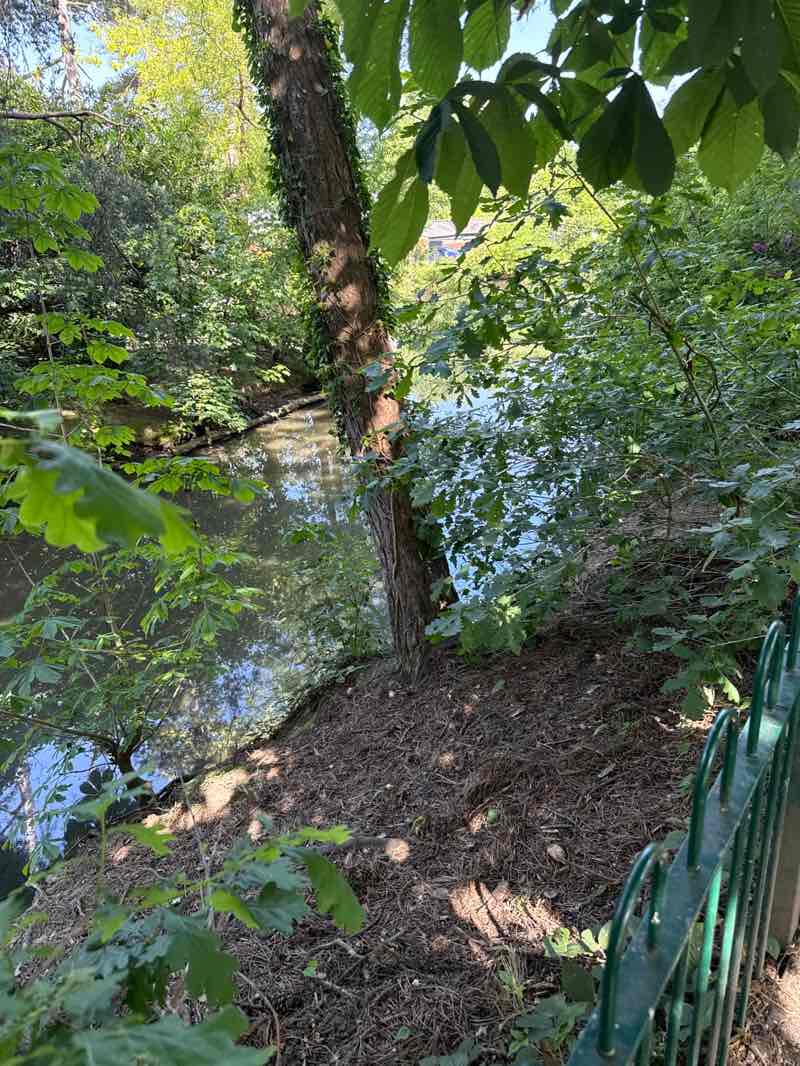 walking near me in Bruntwood Park in summer