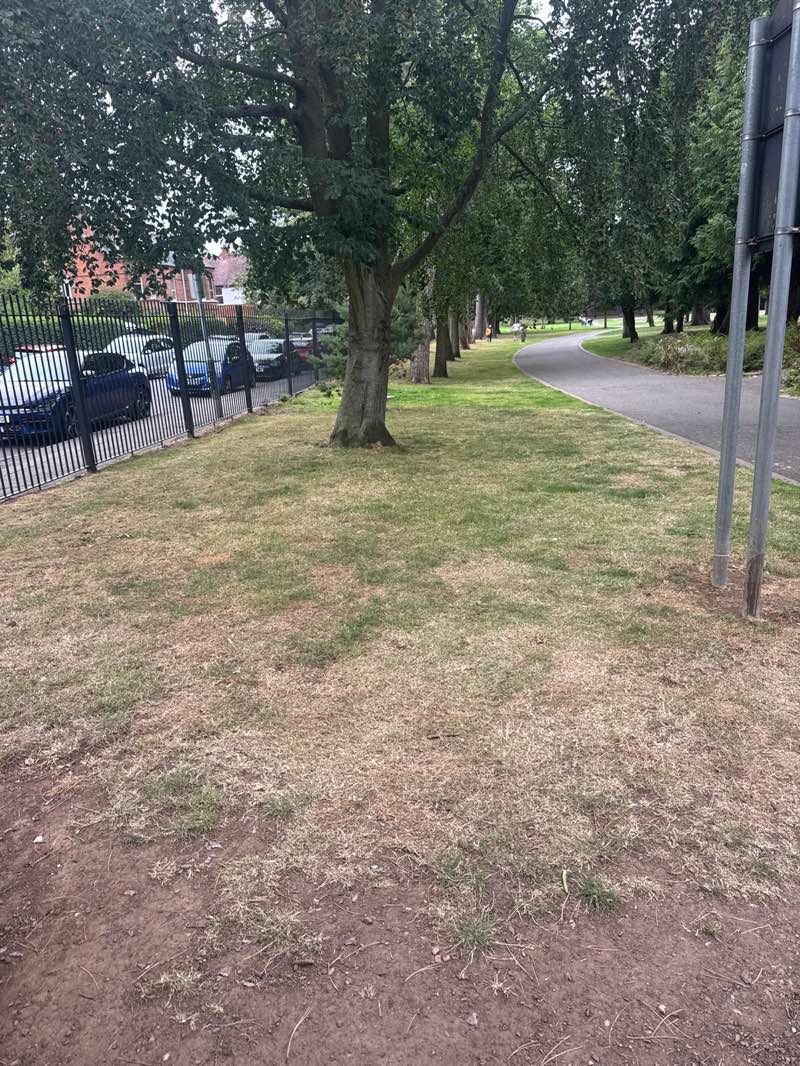 walking near me in Drumglass Park in summer