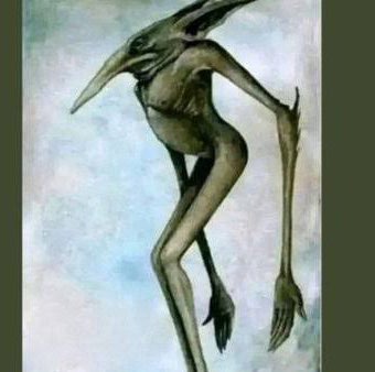 Sirin Alshahrani 6 profile