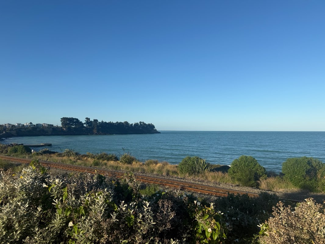 walking near me in Caroline Bay Park in summer