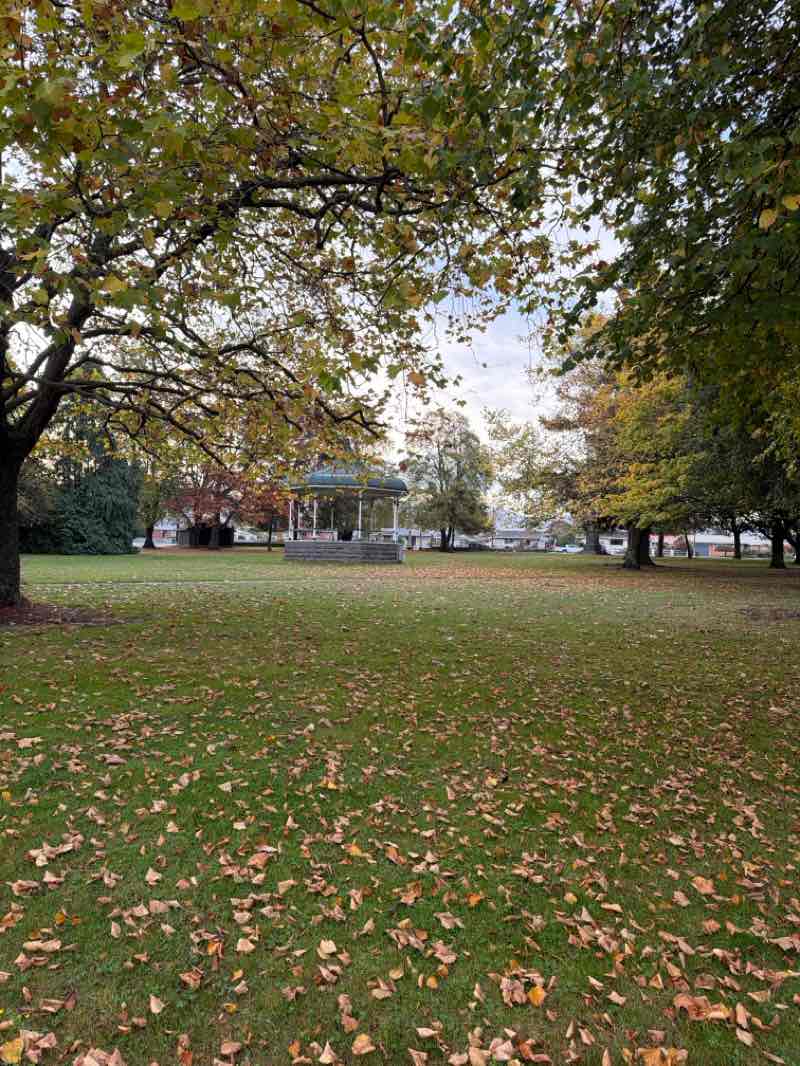 walking near me in Boland Park in autumn