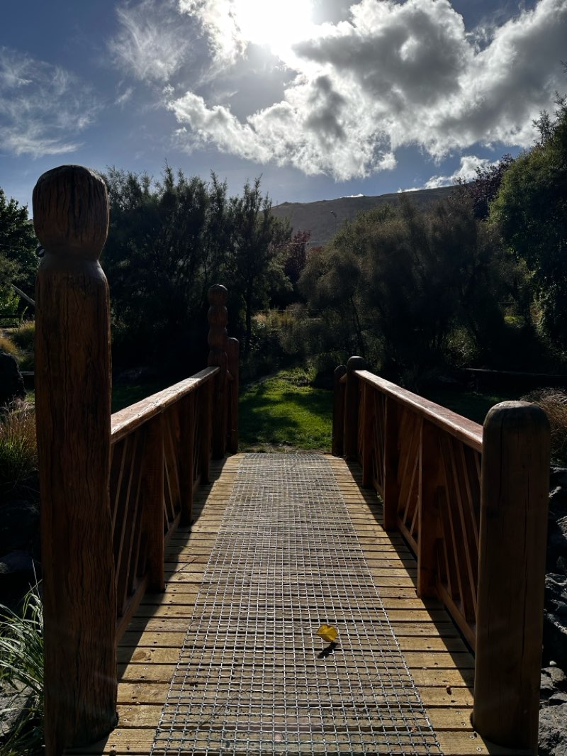 walking near me in Heathcote Domain in summer