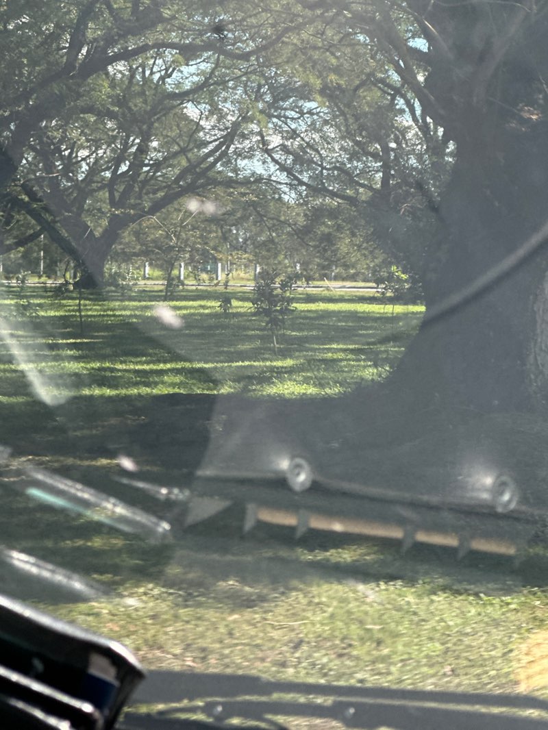 walking near me in Panday Pira Circular Park in winter