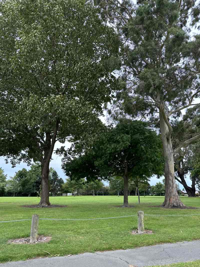walking near me in Ray Blank Park in summer