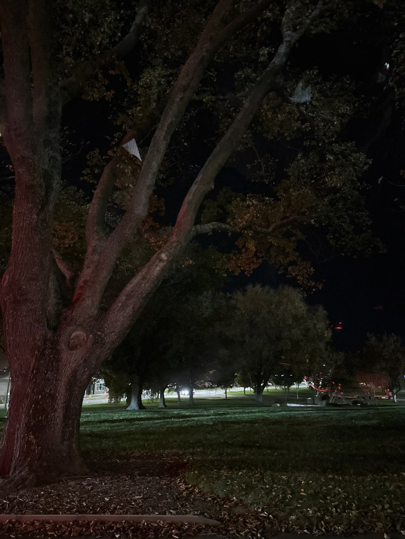 walking near me in Alexandra Square in autumn
