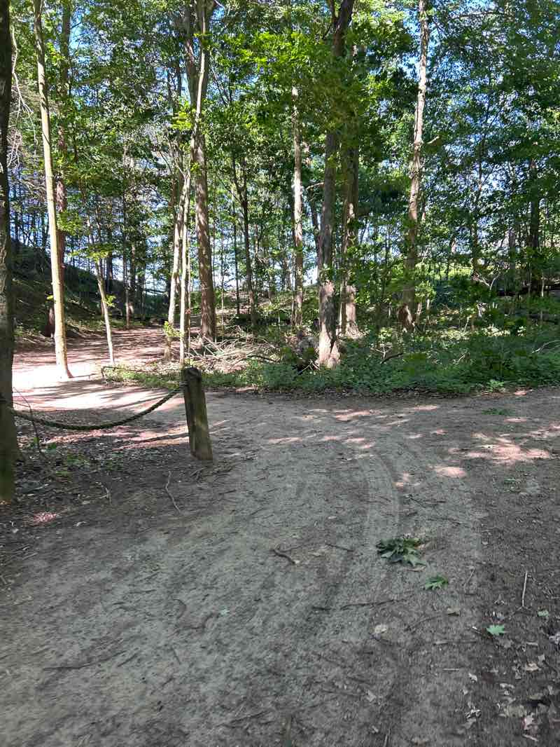 walking near me in Kirk Park in summer
