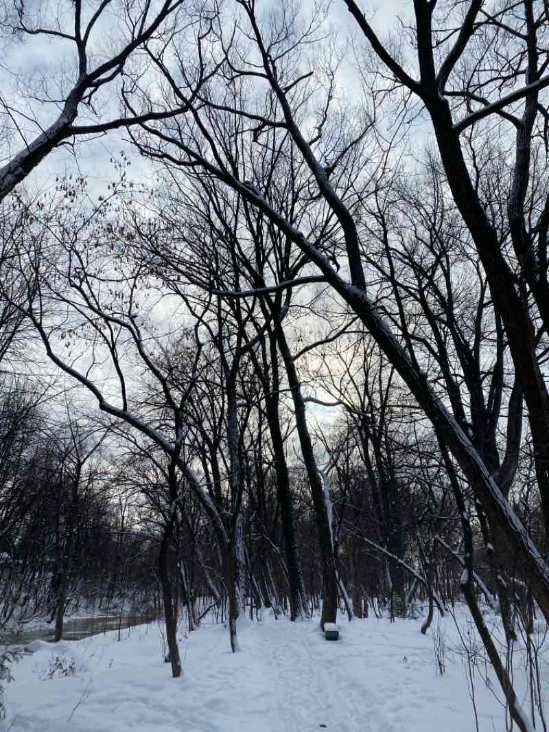 walking near me in Parc de la Rivière-Beauport in winter