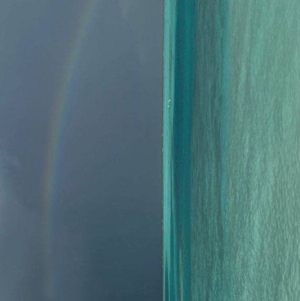 Ayan Saleh 3 profile