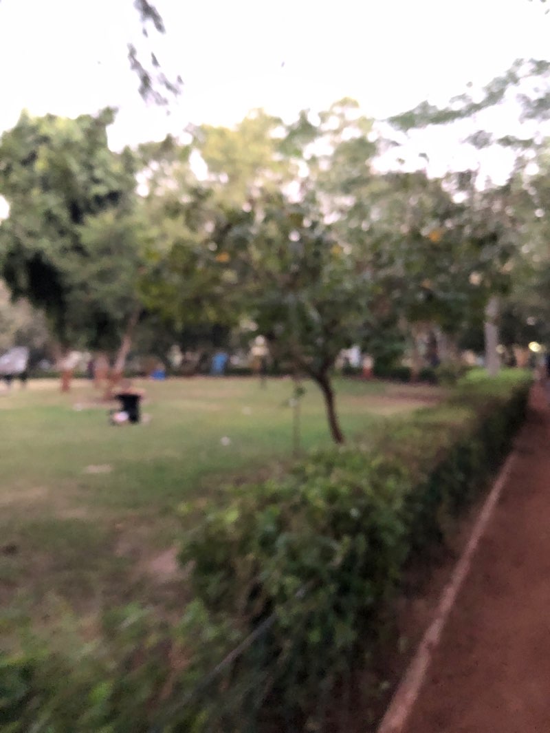 walking near me in Uttamnagar Garden in winter