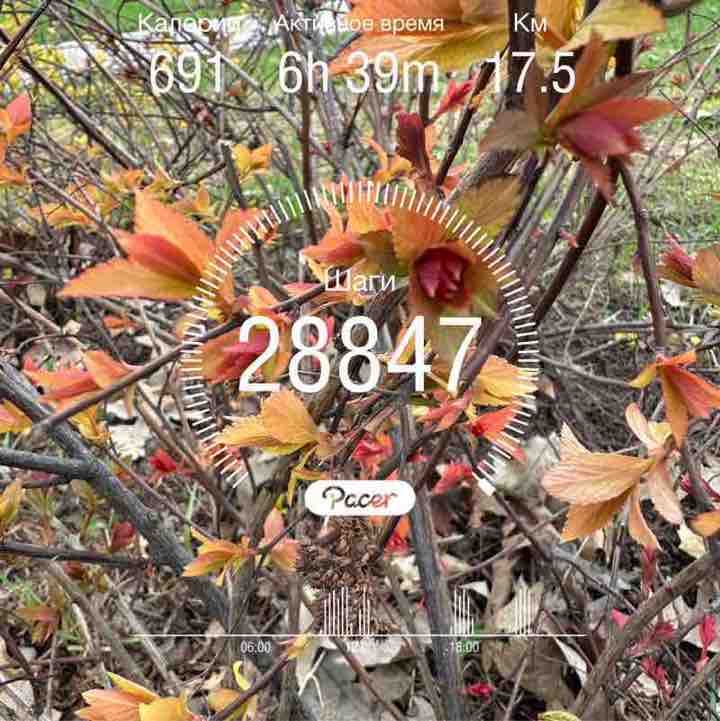 Miles and Mindset Ann post image