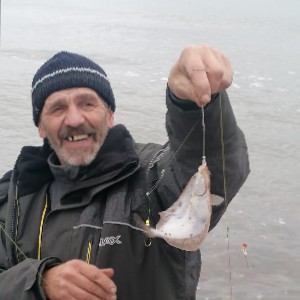 imants andersons profile