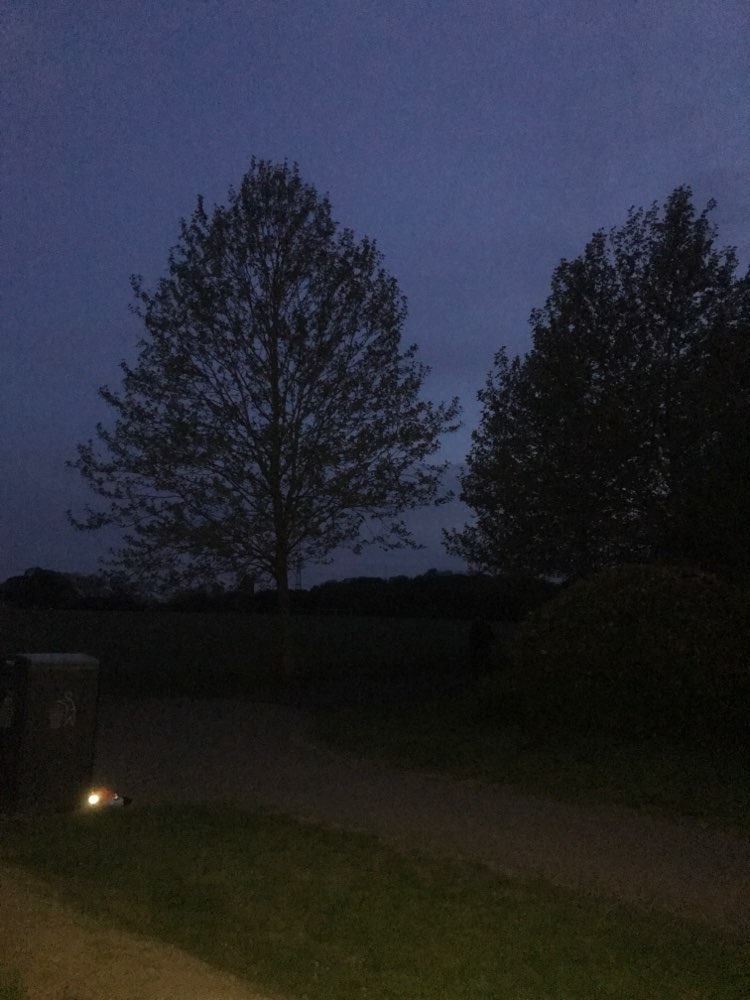 walking near me in Sir Joseph Hood Memorial Playing Fields in spring