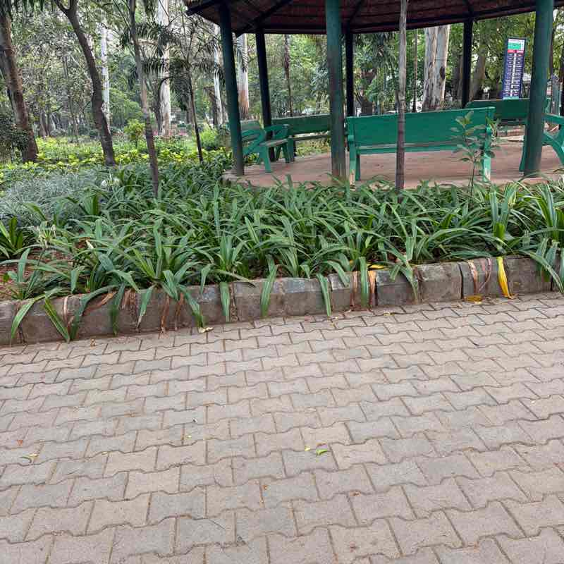 George Alexander post 1