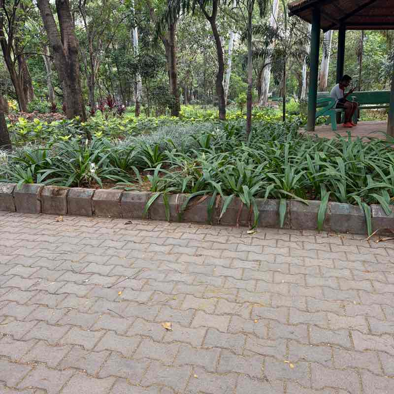 George Alexander post 1