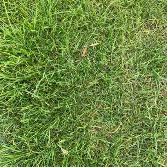 Lucas 🎣🐠 🇦🇺🏀 post 1