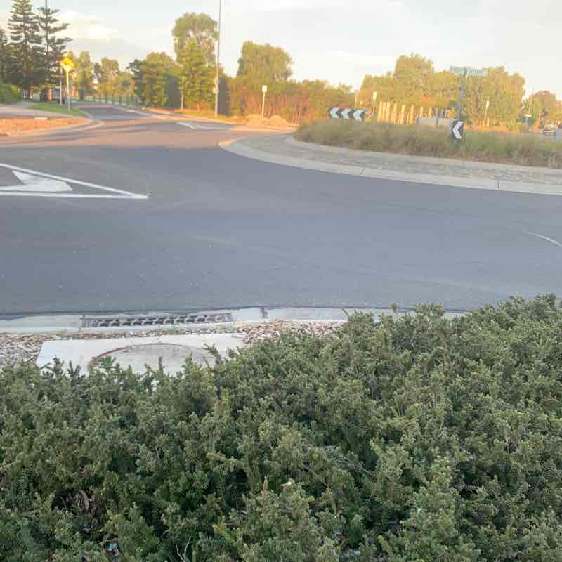 Lucas 🎣🐠 🇦🇺🏀 post 1