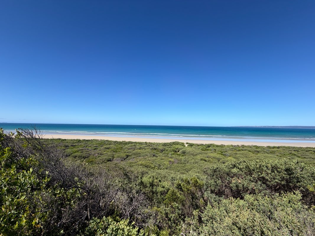 walking near me in Shallow Inlet Marine and Coastal Park in summer