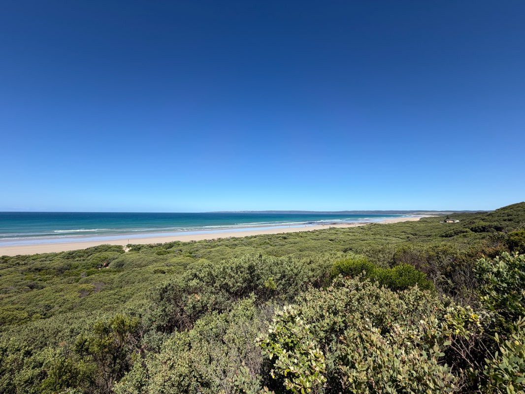 walking near me in Waratah Bay - Shallow Inlet Coastal Reserve in summer