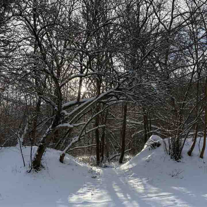 Sachsen läuft 🏃🏃‍♀️ 🍀 Antje 🍀 post image