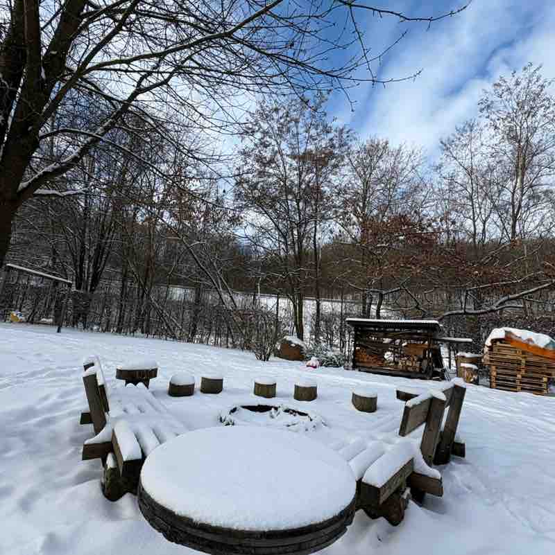 Sachsen läuft 🏃🏃‍♀️ 🍀 Antje 🍀 post image