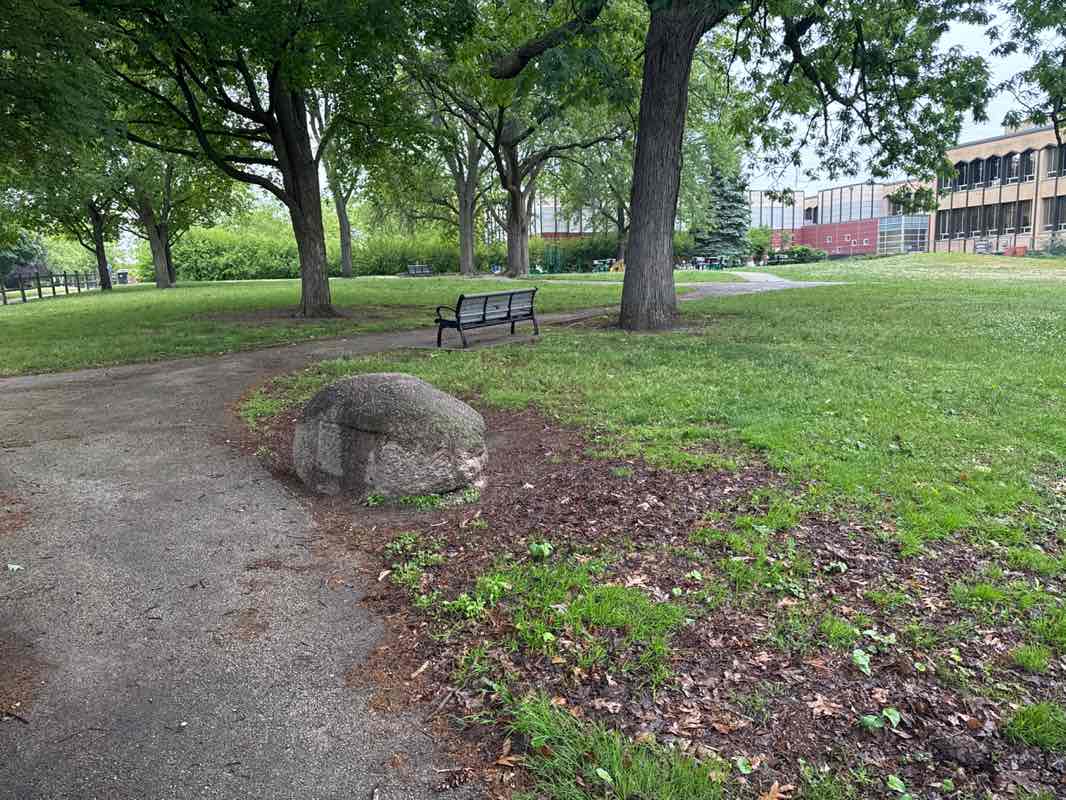 walking near me in Alexander Park in summer