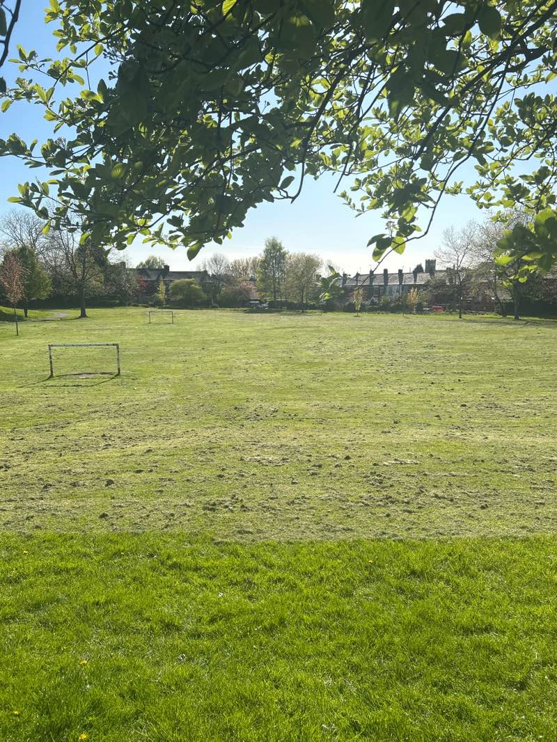 walking near me in Copster Park in spring