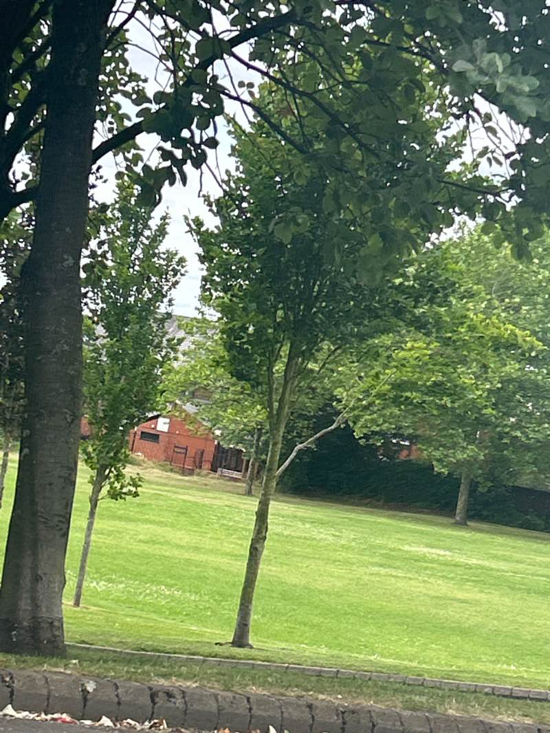 walking near me in Copster Park in summer